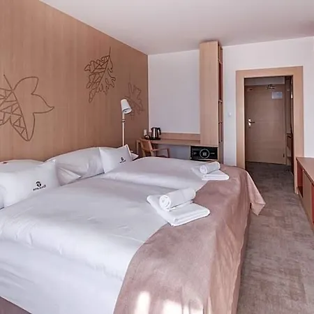 Hotel Slovan